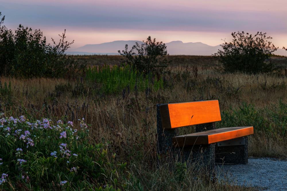 Richmond Nature Park