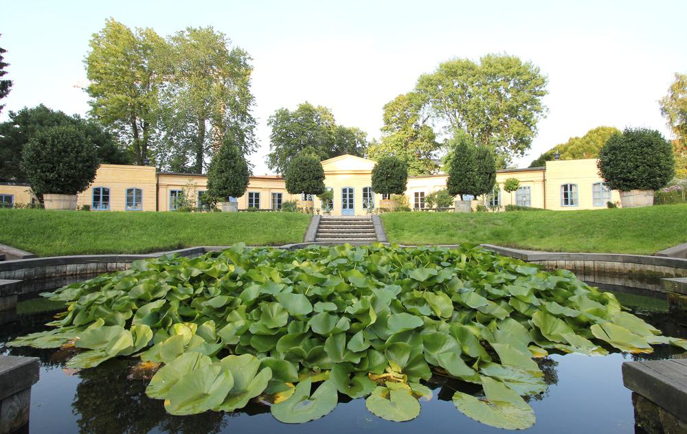 The Linnaeus Museum