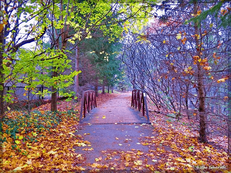 Trans Canada Trail