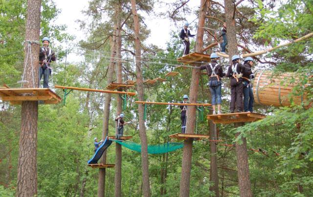 Upzone Adventureforest