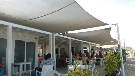 Polvere Di Café