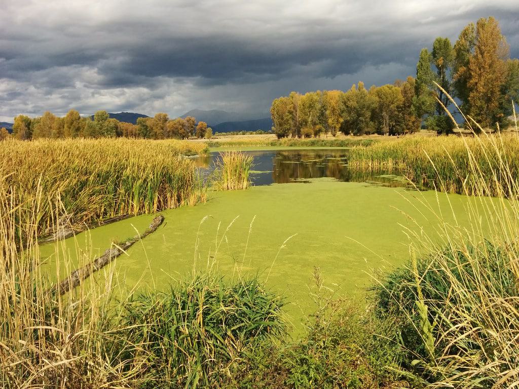 Flat Creek - South Park, Wyoming