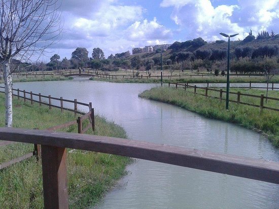 Parco Urbano del Cillarese