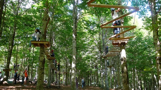 Orme nel Parco Catanzaro