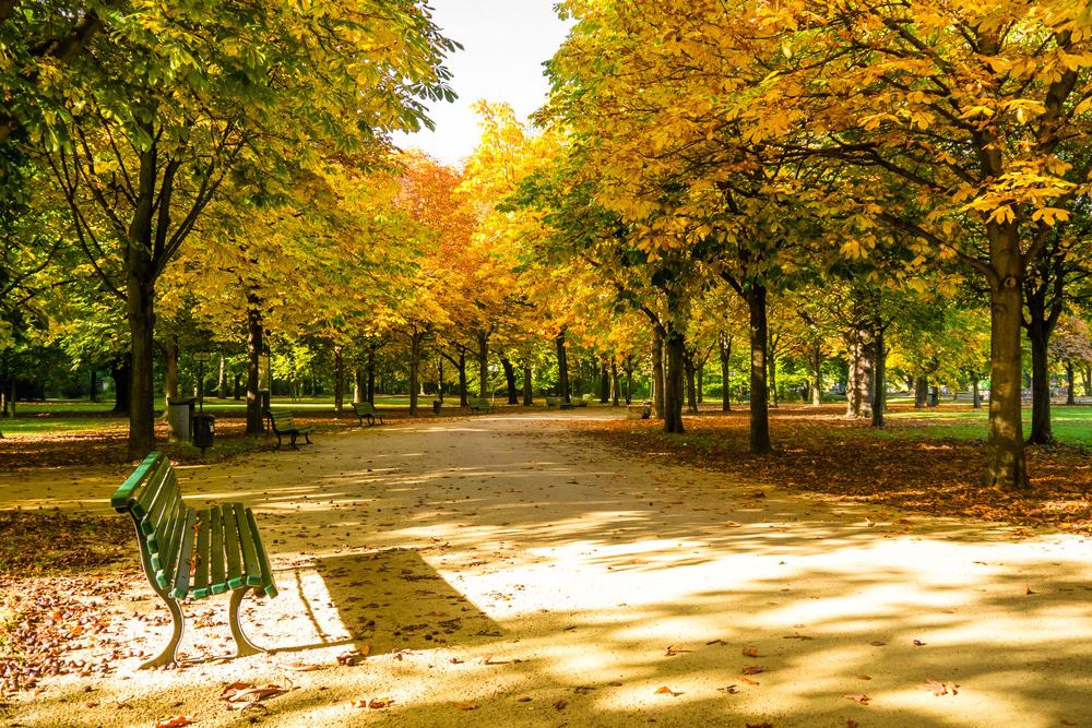 Tiergarten, Berlin