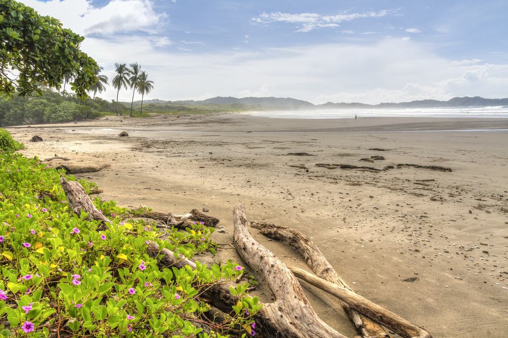 Playa Guiones in Nosara, Costa Rica