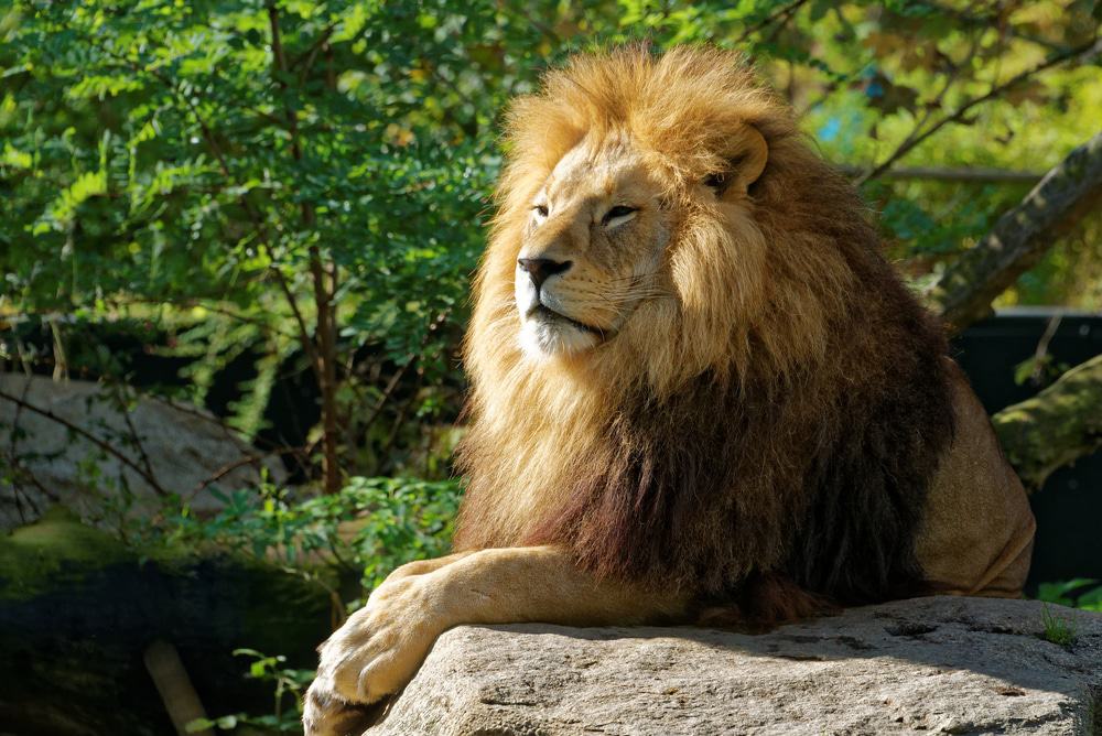 Hellabrunn Zoo