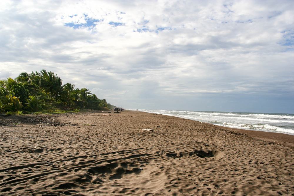 Tortuguero Beach