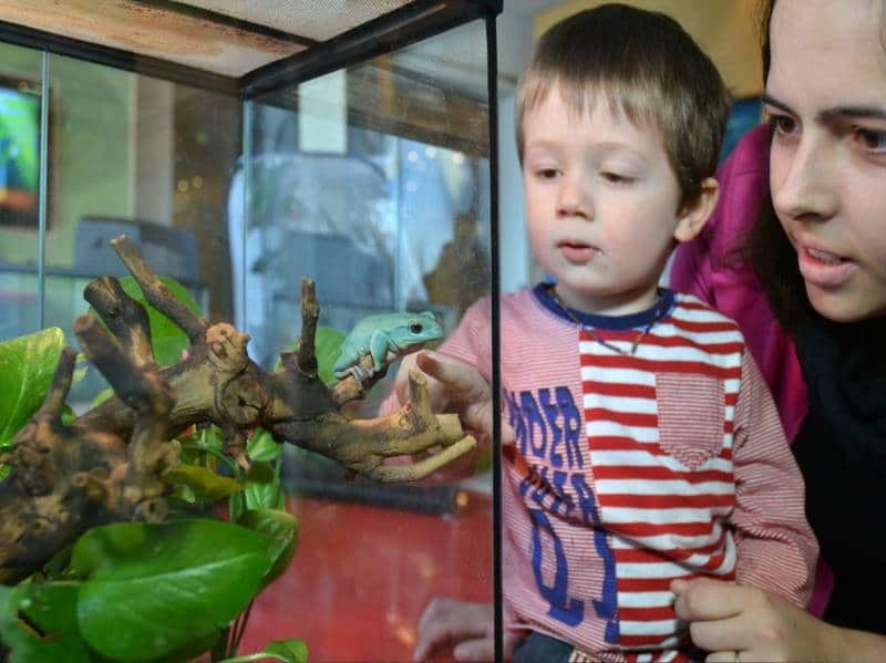 Vivarium