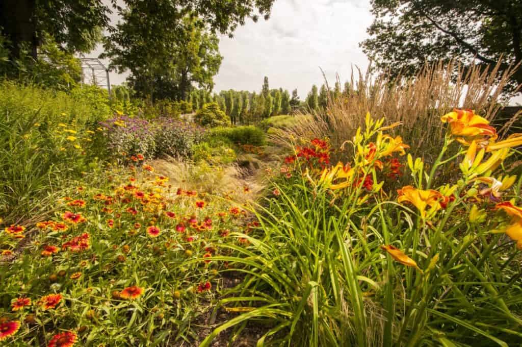 Botanischer Garten Duisburg-Hamborn