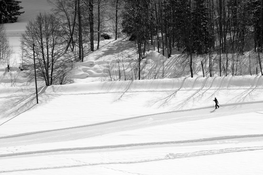 Cross-Country Skiing