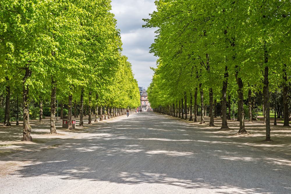 Hofgarten
