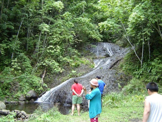 Nancy Falls