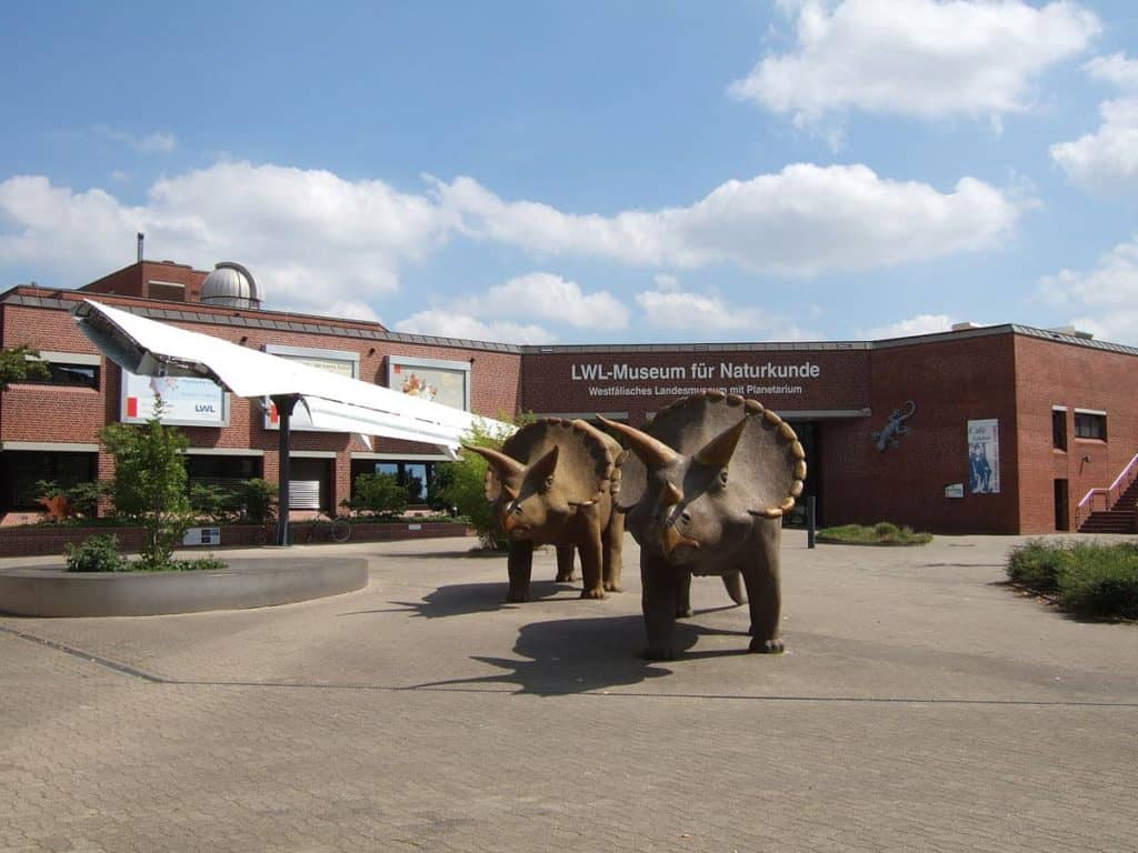 Westfälisches Museum Für Naturkunde