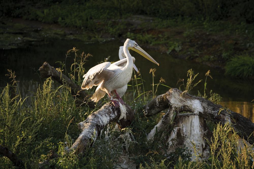 Zoom Erlebniswelt Gelsenkirchen