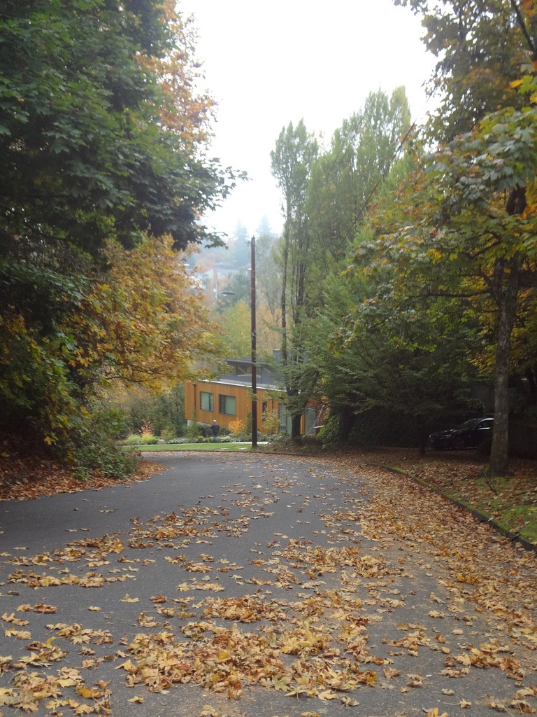 Healy Heights