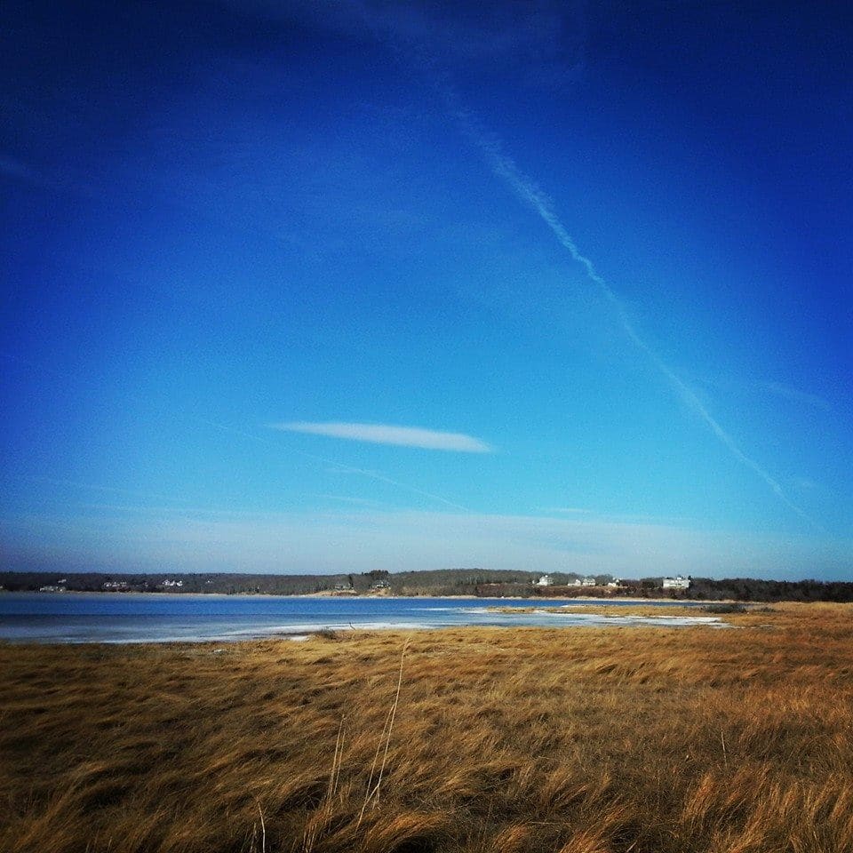 Goosewing Beach Preserve