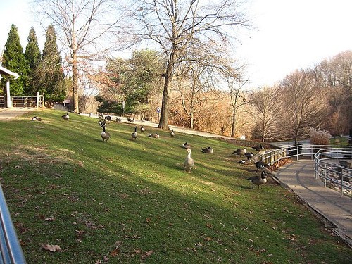 South Park, Pittsburgh