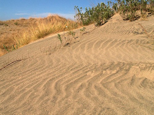 La Paz Sand Dunes