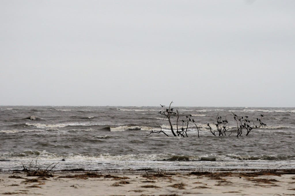 Cabretta Beach