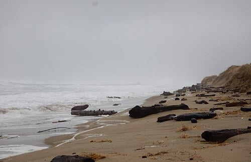 Horsfall Beach, Oregon