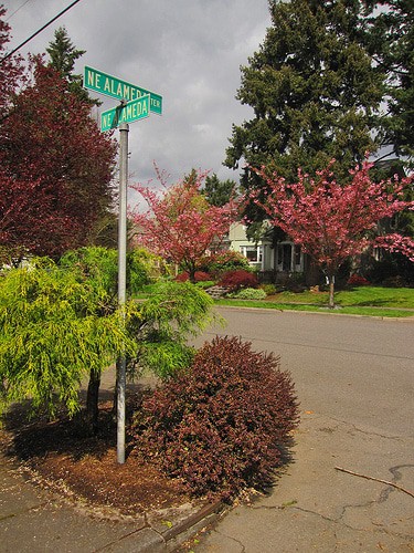 Alameda