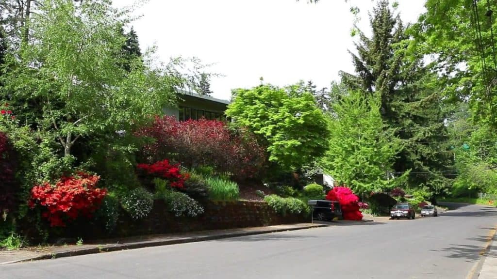 South Burlingame