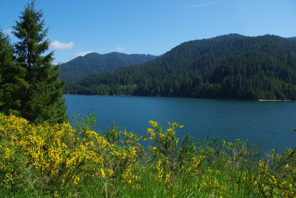 Detroit Lake, Oregon