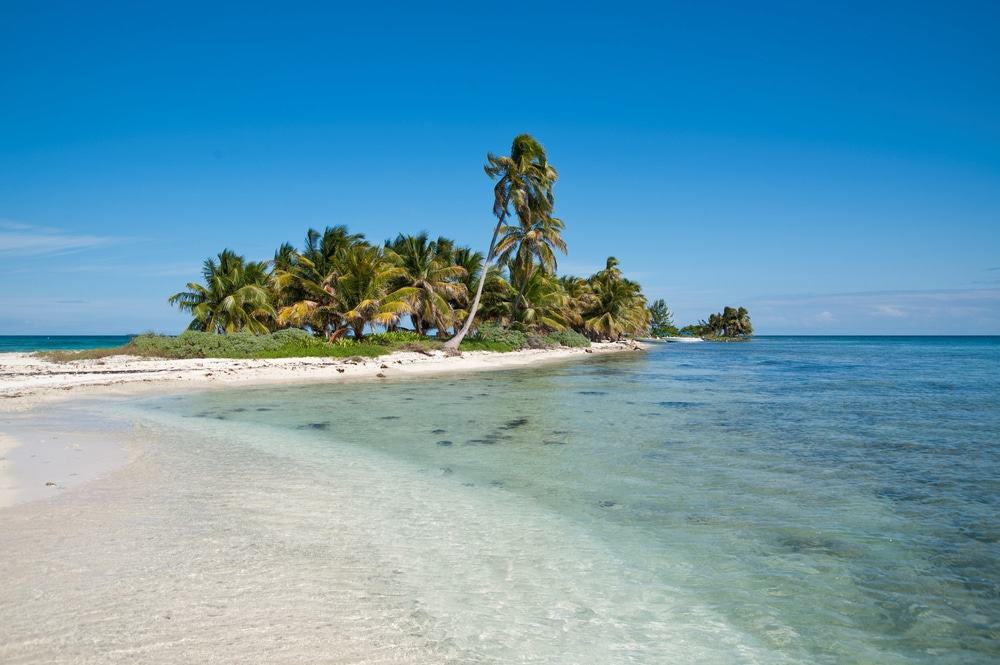 Laughingbird Caye