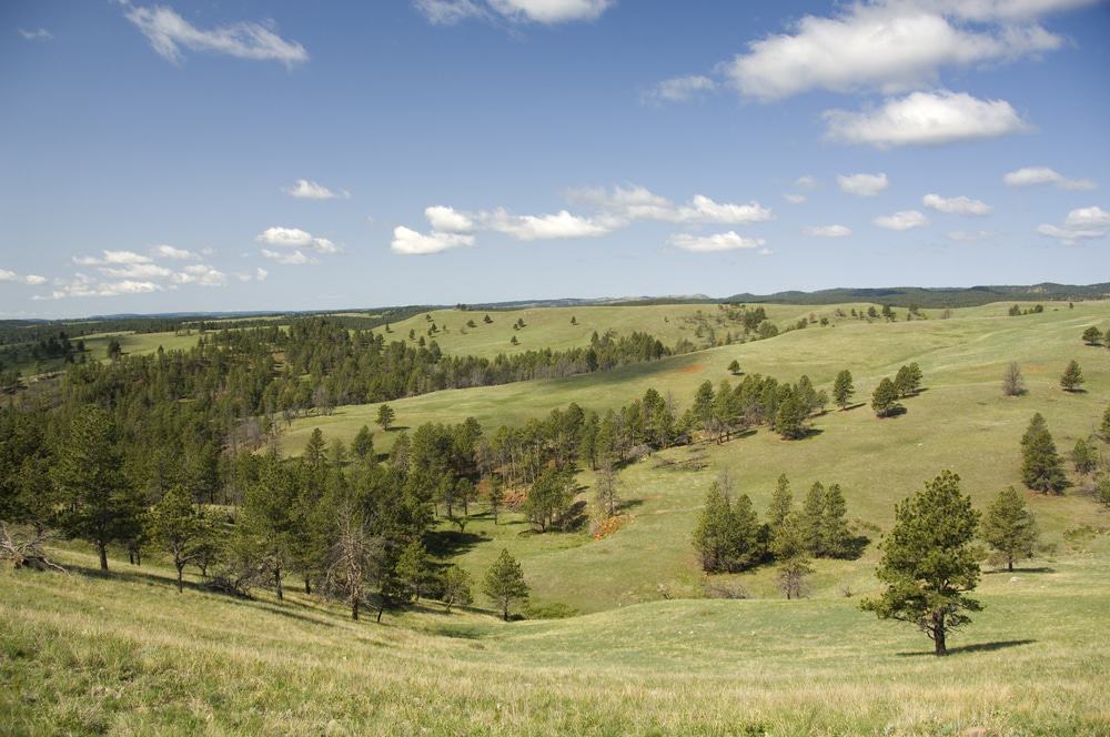 Wind Cave National Park