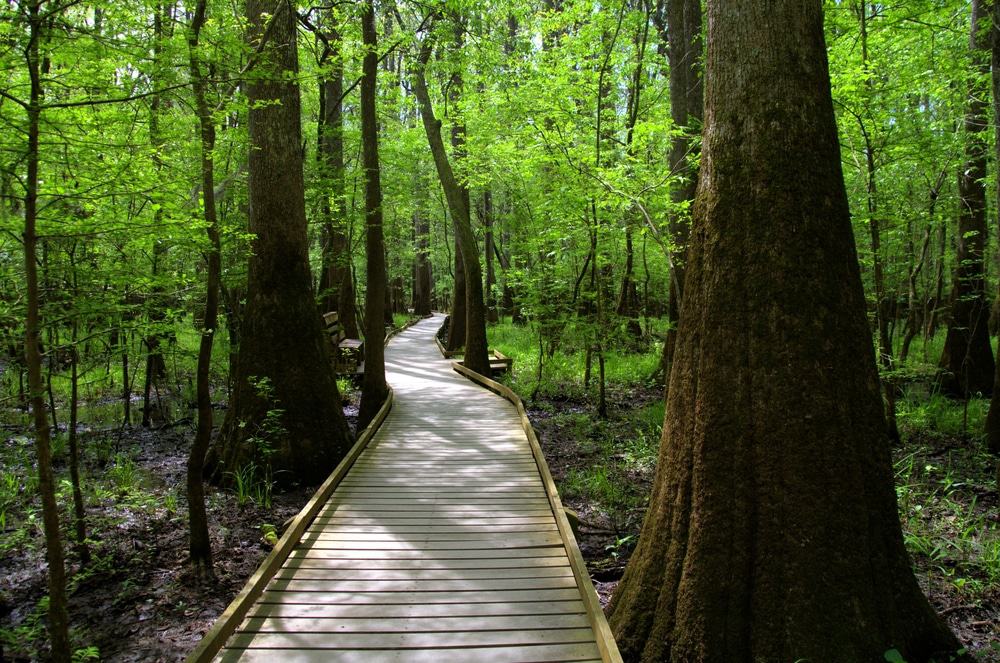 Congaree National Park
