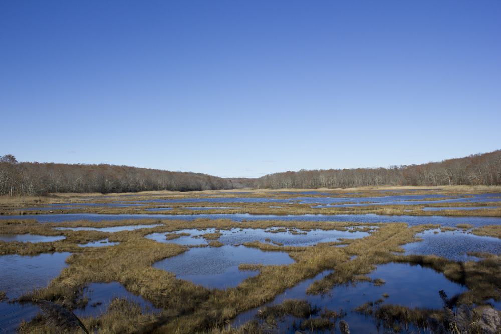 Rocky Neck State Park