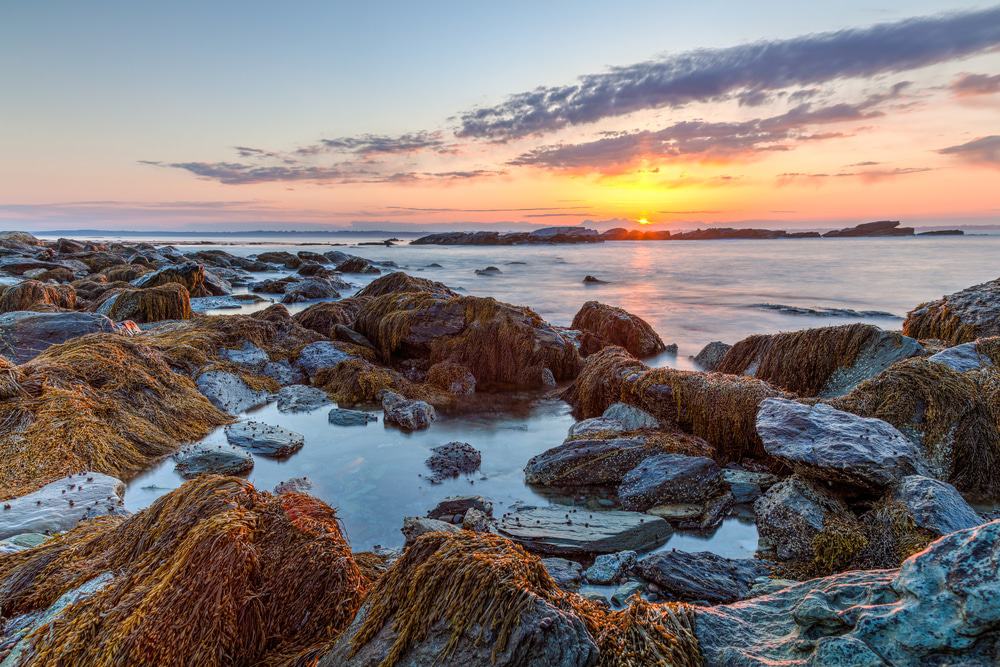 Sachuest Beach