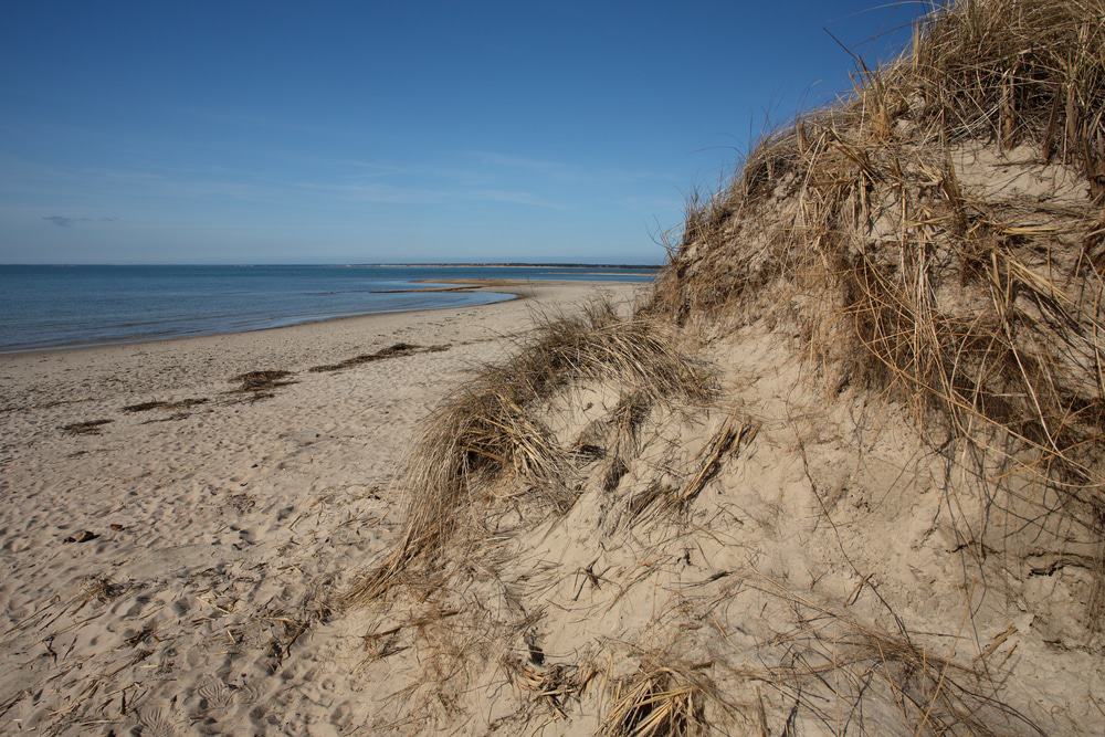 Coast Guard Beach, Massachusetts