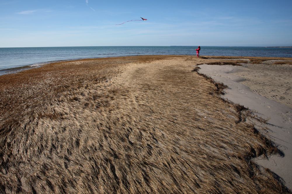 Skaket Beach, Massachusetts