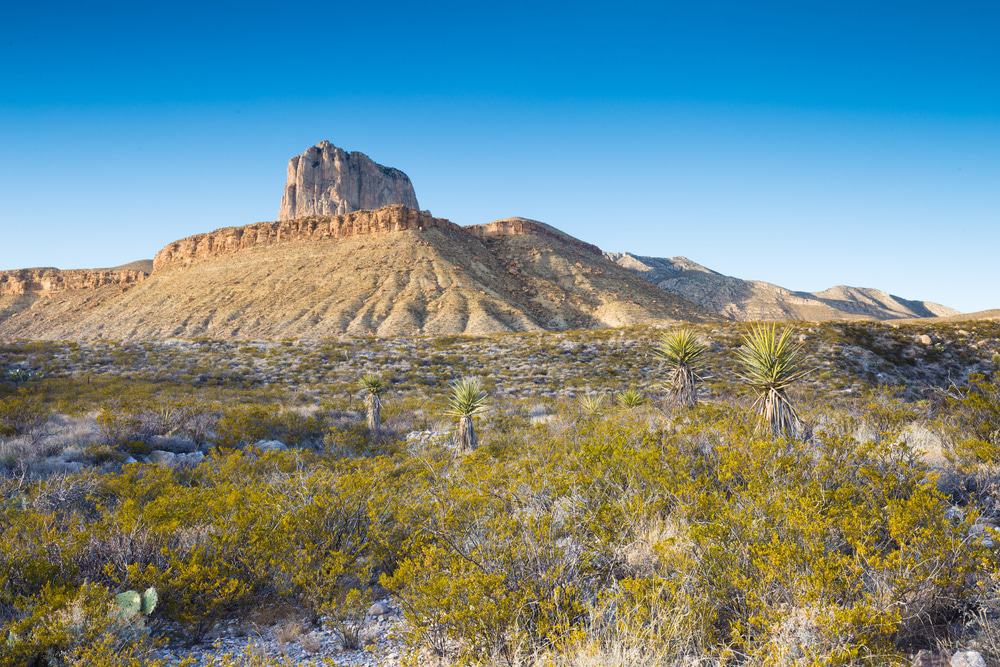 Guadalupe National Park