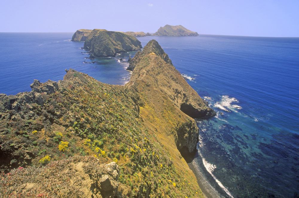 Channel Islands National Park