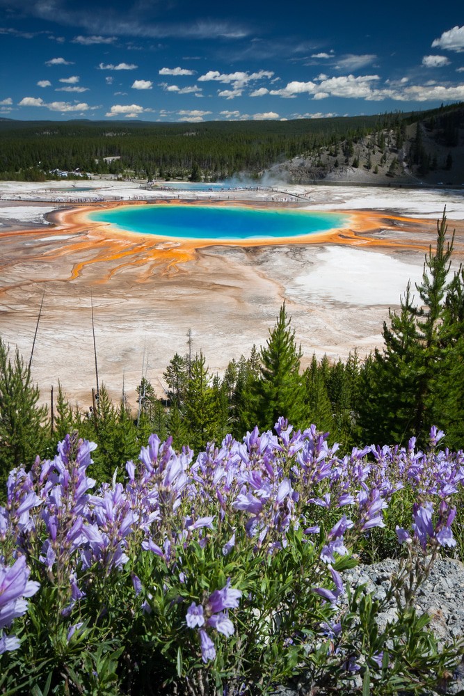 Yellowstone National Park
