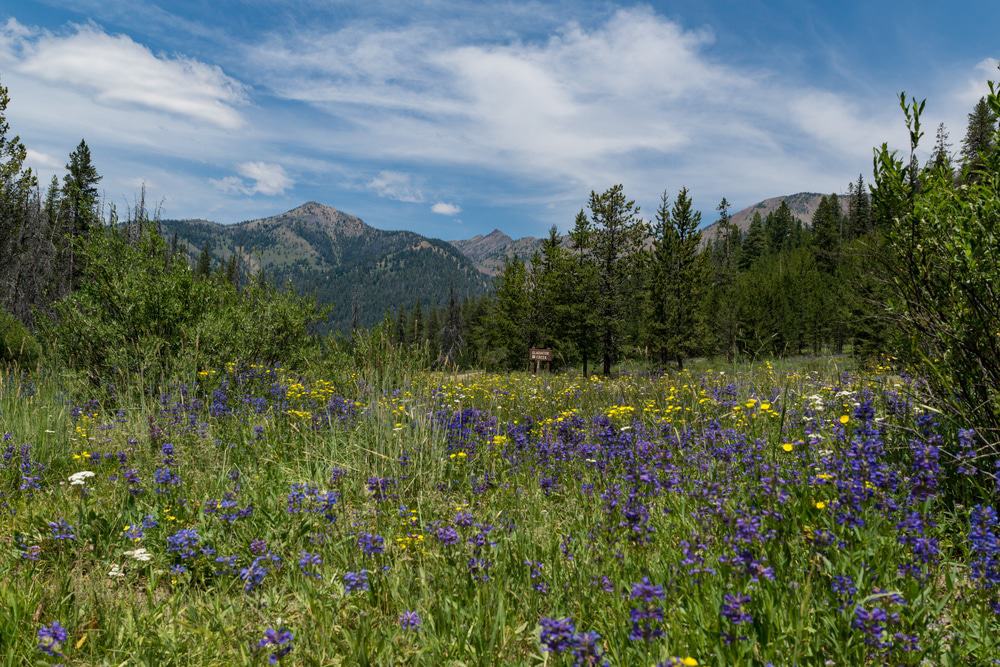 Ketchum, Idaho
