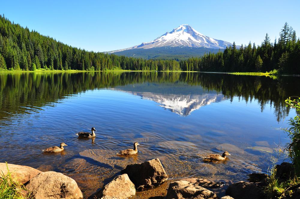 Trillium Lake, Oregon