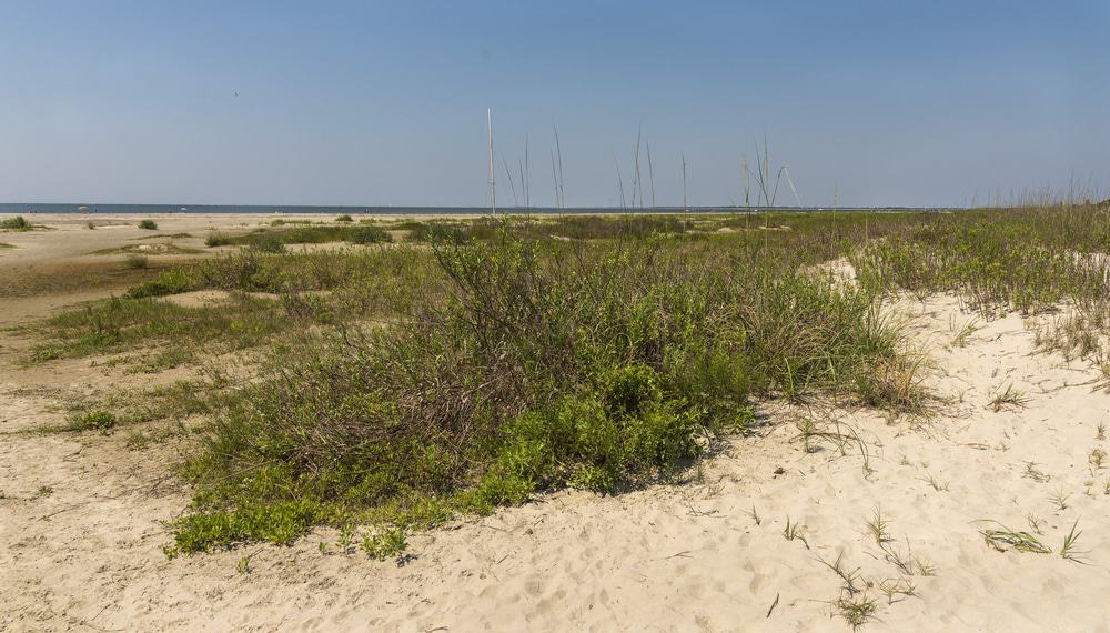 Sullivan's Island, South Carolina
