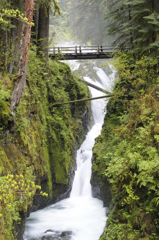 Sol Duc Falls at Olympic National Park, Washington State