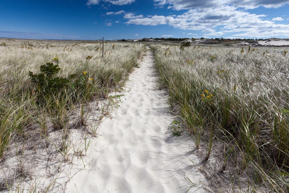Crane Beach