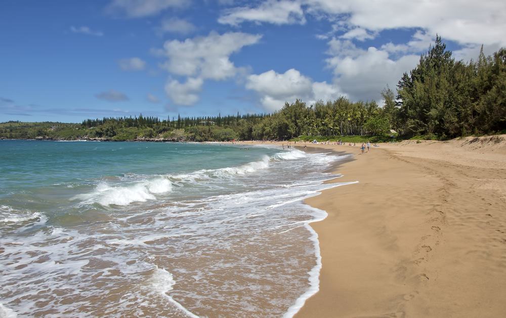 D.T. Fleming Beach Park