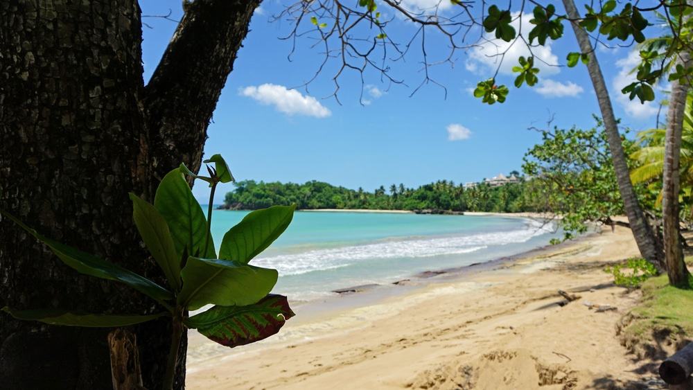 Playa Bonita, Dominican Republic