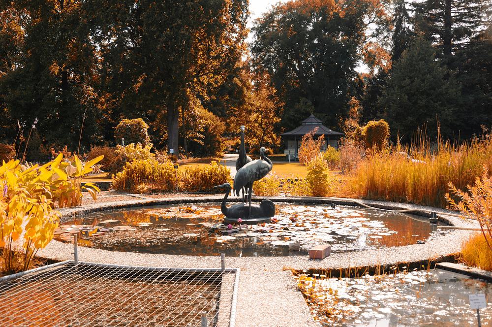 Botanical Garden