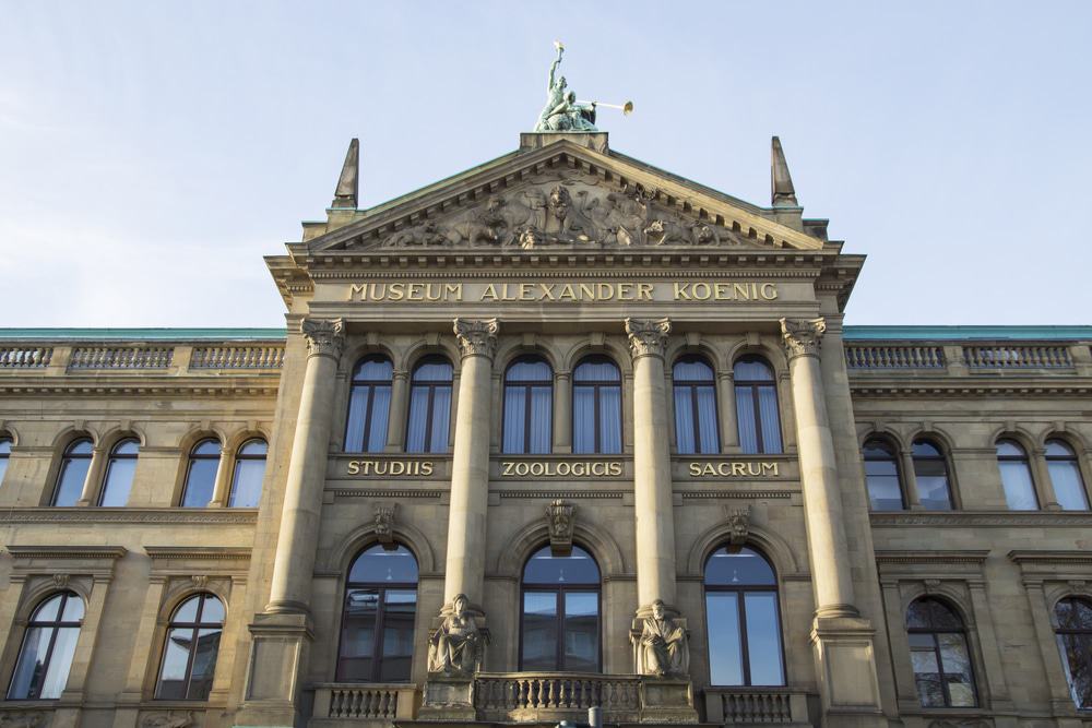 Museum Koenig