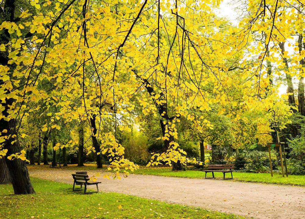 Rotehorn Park
