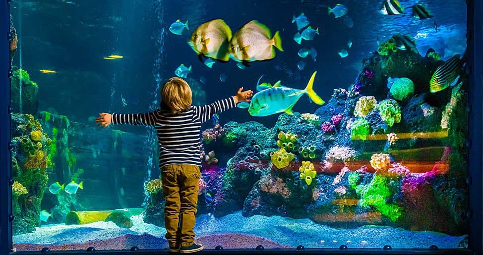 Sea Life Aquarium