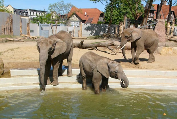 Zoologische Garten Halle